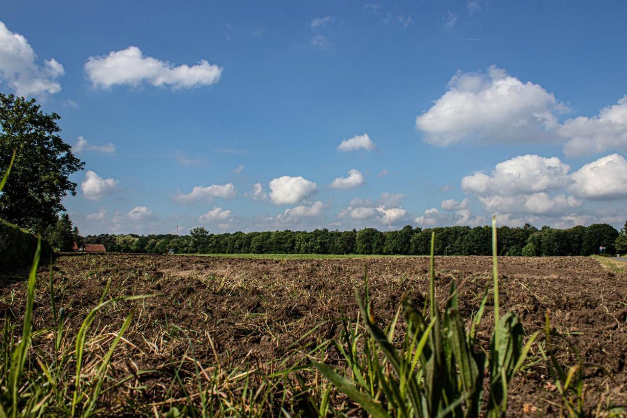 De Lammersdamhoeve Wingene Exterior photo