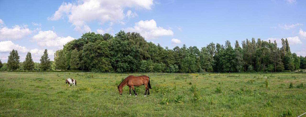 De Lammersdamhoeve Wingene Exterior photo